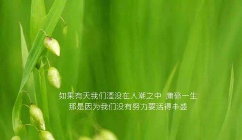 纪委元旦春节发廉政短信提醒