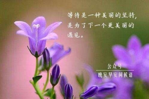 文艺的教师节祝福语简短