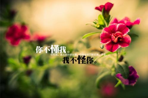 设计师设计理念名言