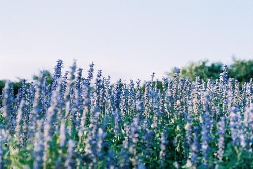 花钱如流水幽默的说说