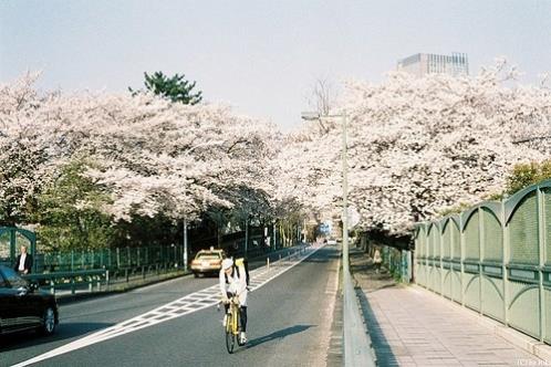 有哪些撩人的情话套路