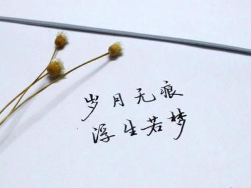 描写老师爱好的句子