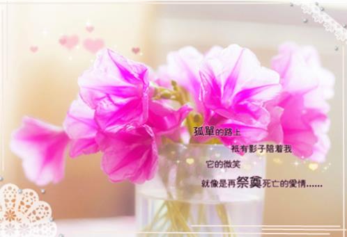 春节短信拜年祝福语